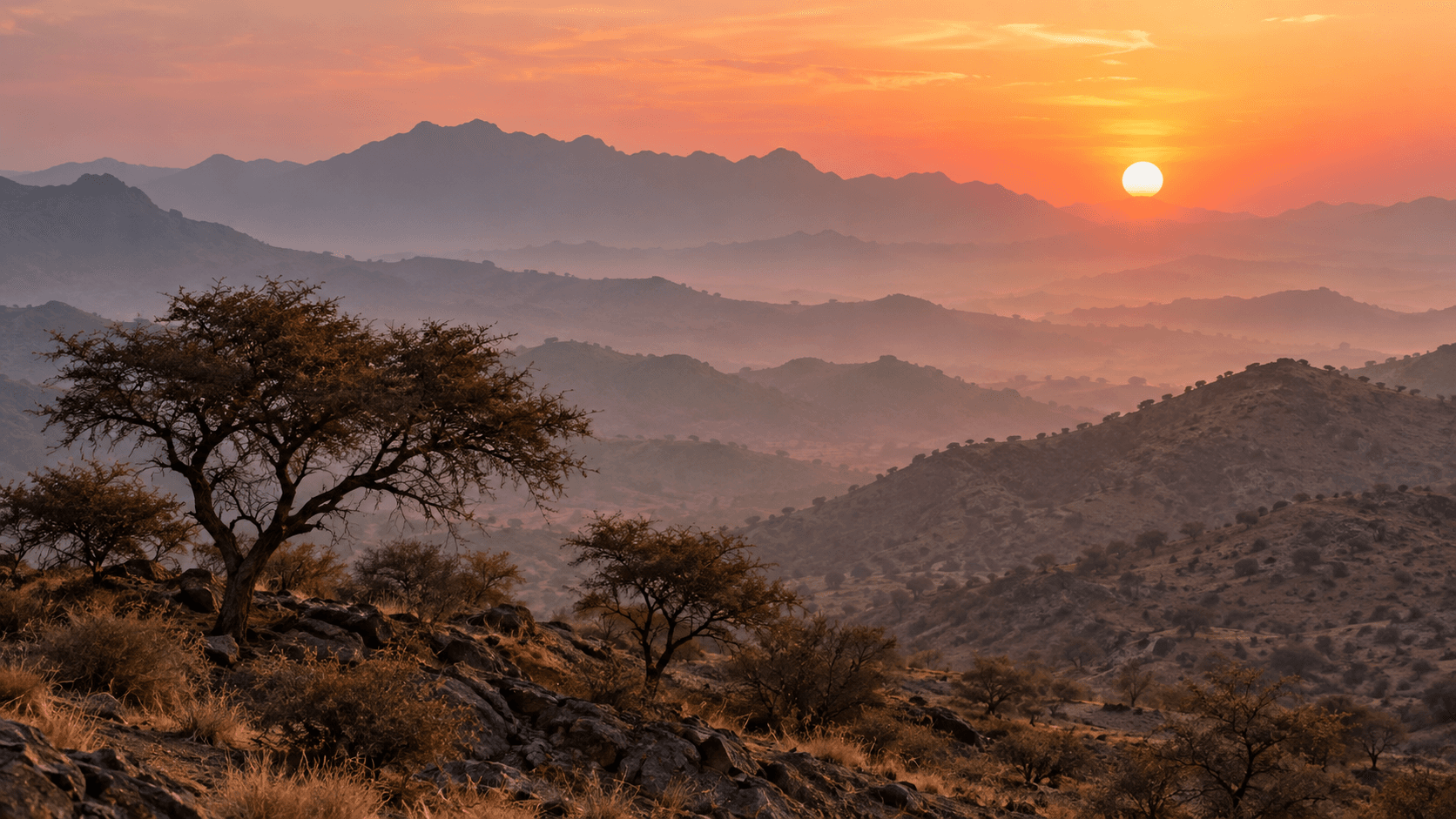 Warm sunrise across the Aravalli hills